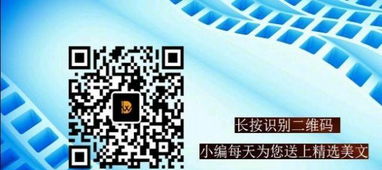 哈尔滨网站建设与推广 一站式解决方案助力企业新式网络营销