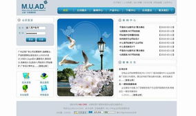 一站式解决方案 产品大全的网站建设与推广服务指南